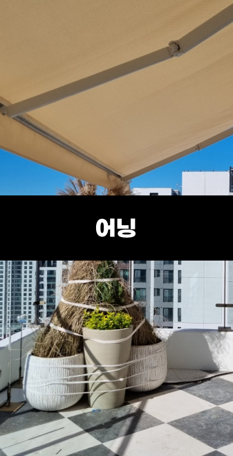 베스트 이미지